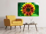 Leinwandbild Farbenprächtige Sonnenblume - SoiréeArts