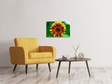 Leinwandbild Farbenprächtige Sonnenblume - SoiréeArts