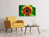 Leinwandbild Farbenprächtige Sonnenblume - SoiréeArts