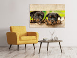 Leinwandbild 2 Rottweiler Welpen - SoiréeArts