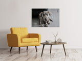 Leinwandbild Der Weimaraner - SoiréeArts