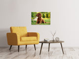 Leinwandbild Aufmerksamer Irish Setter - SoiréeArts