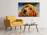 Leinwandbild Treuer Irish Setter - SoiréeArts