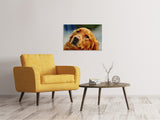 Leinwandbild Treuer Irish Setter - SoiréeArts