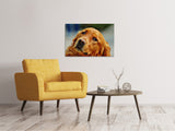 Leinwandbild Treuer Irish Setter - SoiréeArts