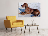 Leinwandbild Eleganter Irish Setter - SoiréeArts