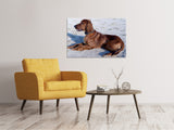 Leinwandbild Eleganter Irish Setter - SoiréeArts