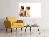 Leinwandbild 2 Mastiffs - SoiréeArts