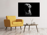 Leinwandbild Der Boerboel sw - SoiréeArts