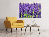 Leinwandbild XL Lavendel - SoiréeArts