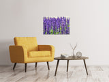 Leinwandbild XL Lavendel - SoiréeArts