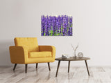 Leinwandbild XL Lavendel - SoiréeArts