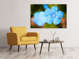 Leinwandbild Blaue Blume mit Morgentau - SoiréeArts