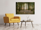 Leinwandbild Wald Lauf - SoiréeArts