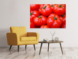 Leinwandbild Frische Tomaten - SoiréeArts