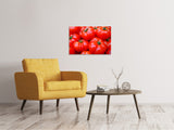 Leinwandbild Frische Tomaten - SoiréeArts