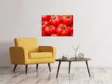 Leinwandbild Frische Tomaten - SoiréeArts