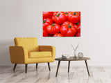 Leinwandbild Frische Tomaten - SoiréeArts