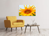 Leinwandbild Grosse Sonnenblume - SoiréeArts