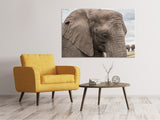 Leinwandbild XL Elefant - SoiréeArts