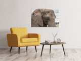 Leinwandbild XL Elefant - SoiréeArts