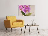 Leinwandbild Orchideen mit lila Blüten in XL - SoiréeArts