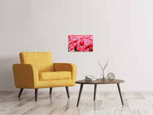Leinwandbild Fröhliches Tulpenfeld