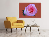 Leinwandbild Rose in pink XXL - SoiréeArts