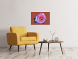 Leinwandbild Rose in pink XXL - SoiréeArts