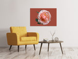 Leinwandbild Rose in rosa XXL - SoiréeArts