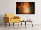 Leinwandbild Herbstlicht im Wald - SoiréeArts