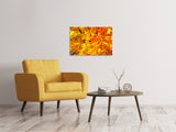 Leinwandbild Herbst Blätter - SoiréeArts