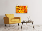 Leinwandbild Herbst Blätter - SoiréeArts