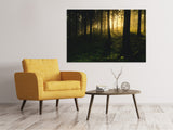 Leinwandbild Sonnenuntergang im Wald - SoiréeArts