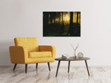 Leinwandbild Sonnenuntergang im Wald - SoiréeArts