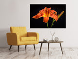 Leinwandbild Eine Lilien Blüte in orange - SoiréeArts