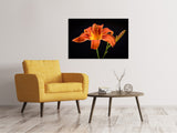 Leinwandbild Eine Lilien Blüte in orange - SoiréeArts