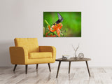 Leinwandbild Die Tiger-Lilie und der Schmetterling - SoiréeArts