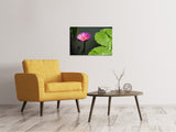 Leinwandbild Lotus Blüte in pink - SoiréeArts