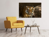 Leinwandbild Sibirischer Tiger - SoiréeArts