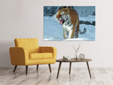 Leinwandbild Tiger im Schnee - SoiréeArts