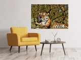 Leinwandbild Stolzer Tiger - SoiréeArts