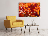 Leinwandbild Schönes Herbstlaub - SoiréeArts