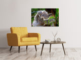 Leinwandbild Mama und Baby Koala - SoiréeArts