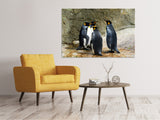 Leinwandbild König Pinguine - SoiréeArts