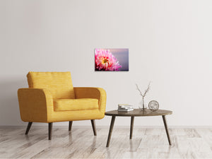 Leinwandbild Makro Chrysantheme