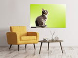 Leinwandbild Pop Art Katze XL - SoiréeArts