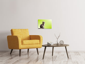 Leinwandbild Pop Art Katze XL