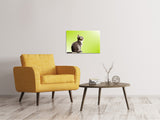 Leinwandbild Pop Art Katze XL - SoiréeArts