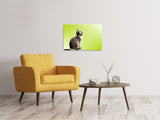 Leinwandbild Pop Art Katze XL - SoiréeArts